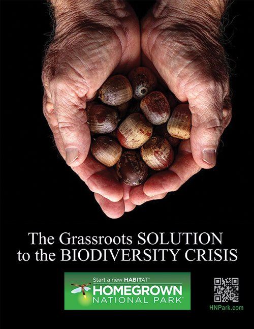 HNPACORNFLYER_IMAGEa0809221a