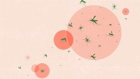 first-west-nile-virus-cases-of-2023-reported-in-these-us-states-1440x810.tmb-0