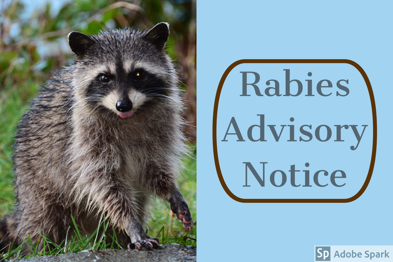 best_crop_e43c2e92b1f6fec75f2c_adobe-spark-post