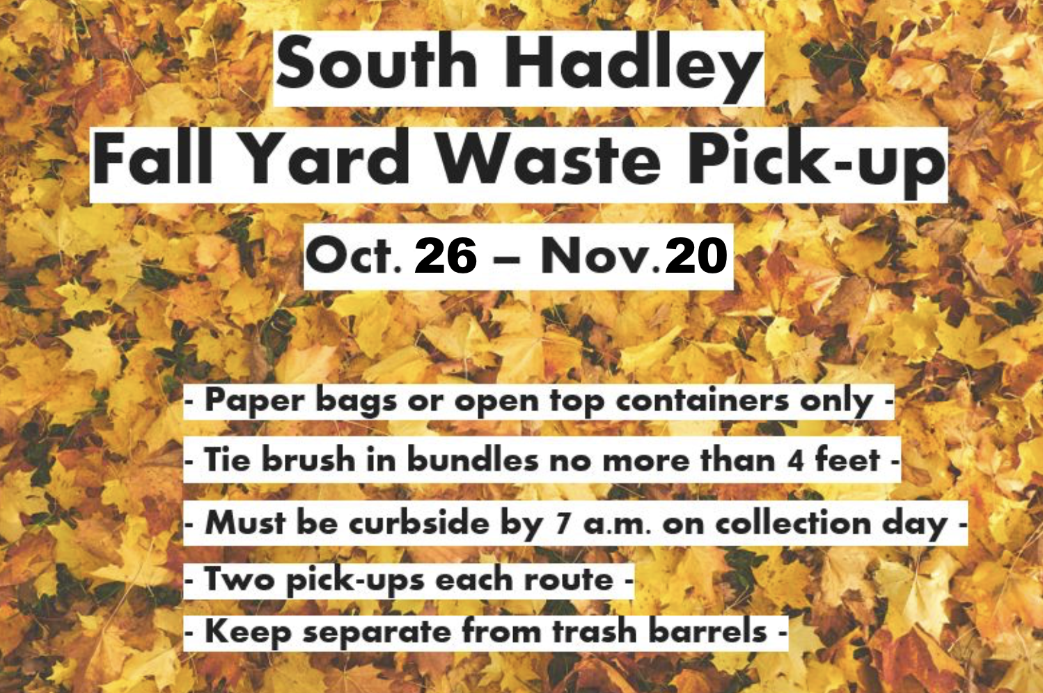 Yard Waste Flyer
