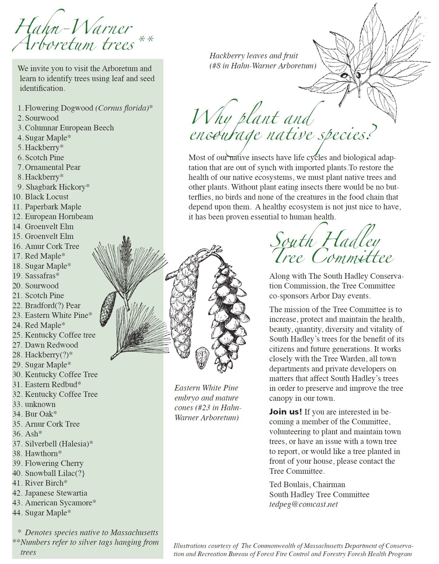 About the Arboretum 2